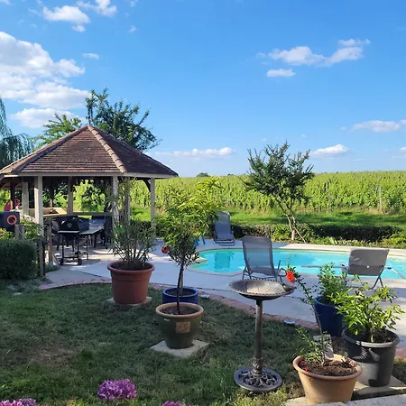 Au Coeur Des Vignes Villa