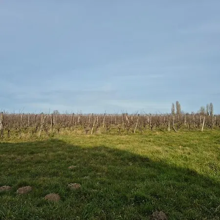 Au Coeur Des Vignes * Monbazillac